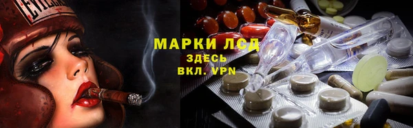 спиды Новодвинск