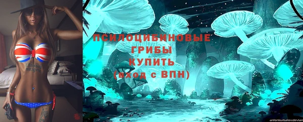 гашиш Новозыбков