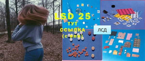 спиды Новодвинск