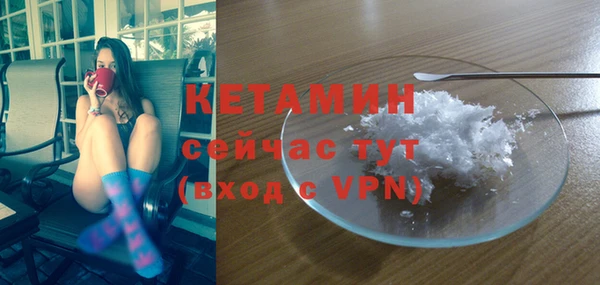 спиды Новодвинск